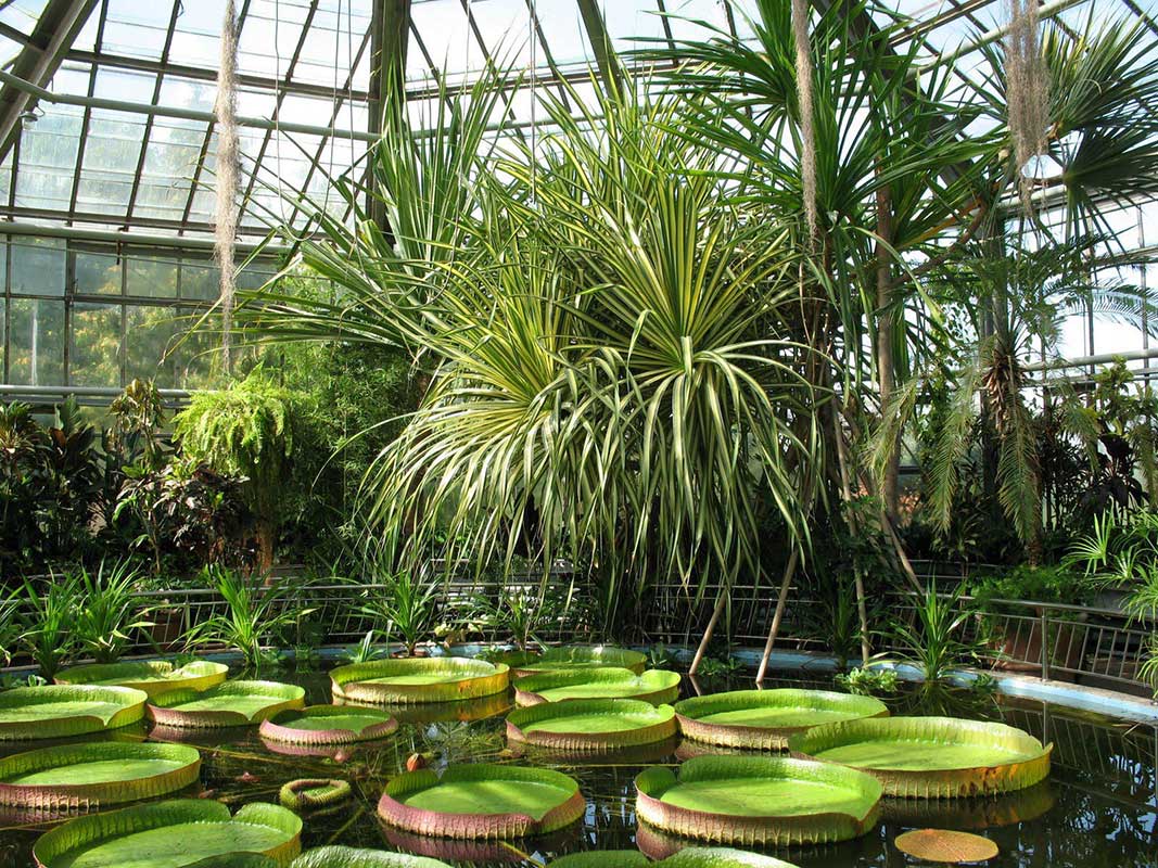 Botanical Garden, Cluj-Napoca